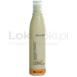 Szampon do włosów zniszczonych Rephair Shampoo Liding Life 250 ml Kemon